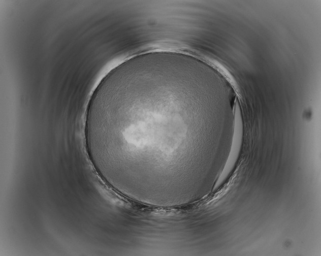 X0000099421146200805301401