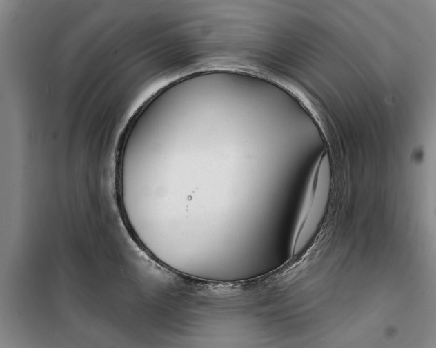 X0000099421147200805301401