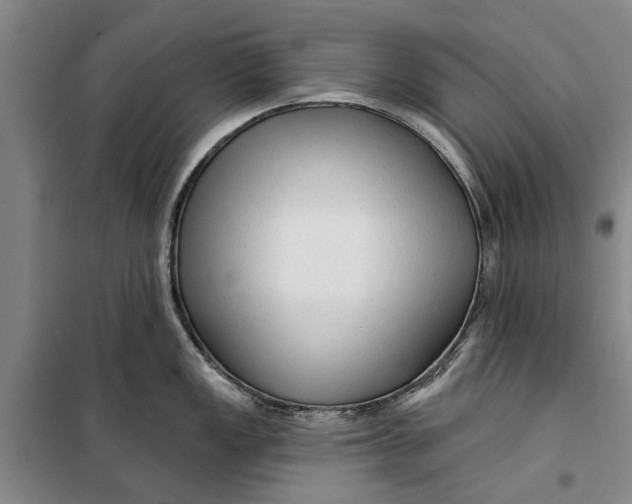 X0000099421149200805301401