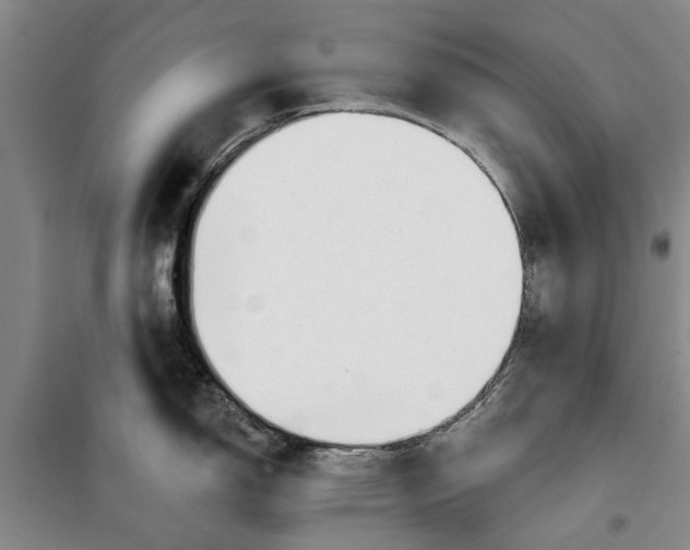 X0000099421150200805301401