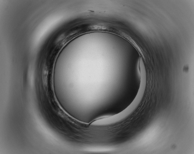 X0000099421151200805301401