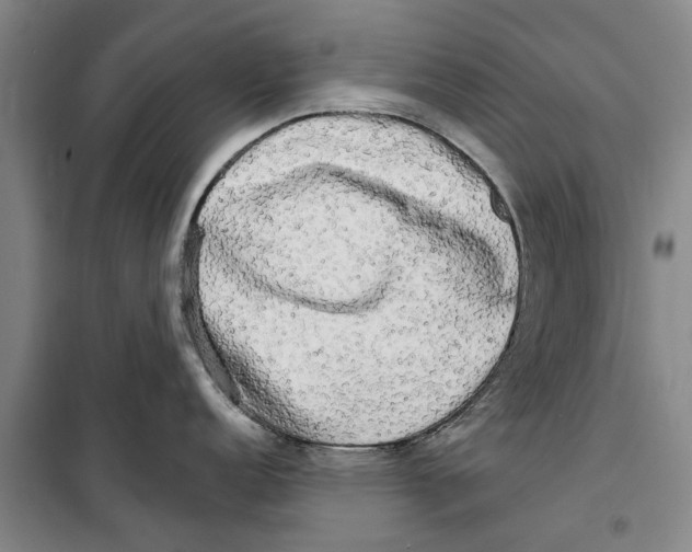 X0000099421152200805301401