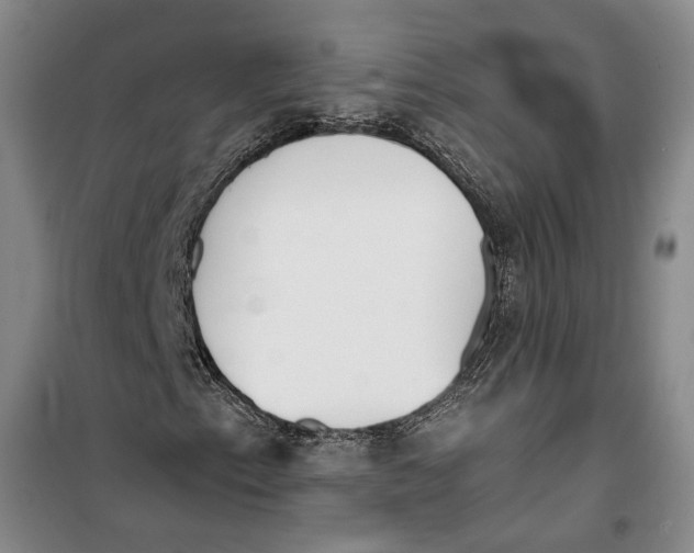 X0000099421153200805301401