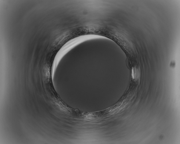 X0000099421155200805301401