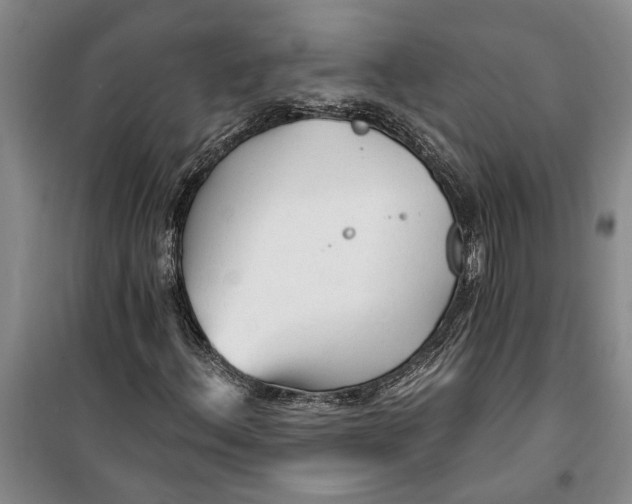 X0000099421156200805301401