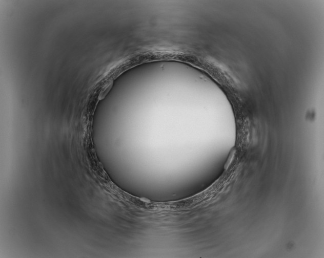 X0000099421157200805301401