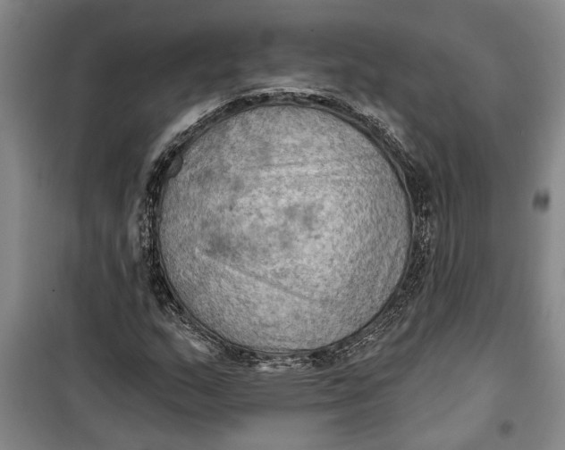 X0000099421159200805301401