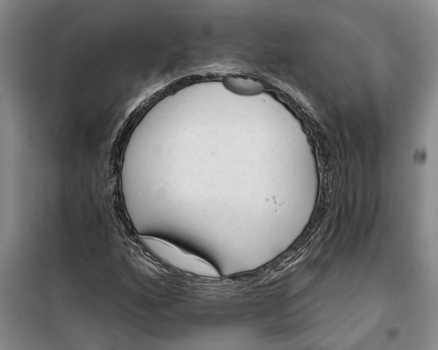 X0000099421160200805301401