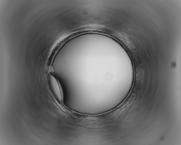 X0000099421164200805301401