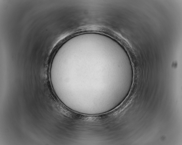 X0000099421166200805301401