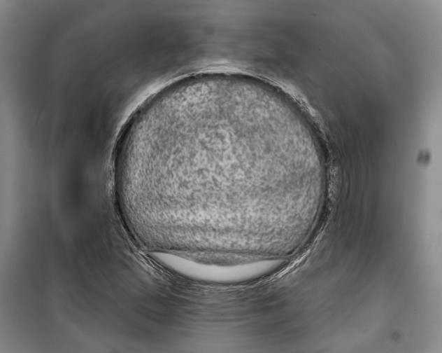 X0000099421167200805301401