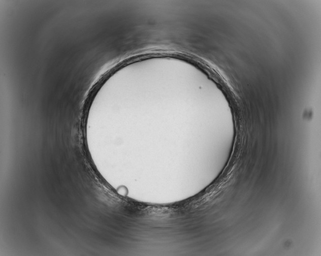 X0000099421168200805301401