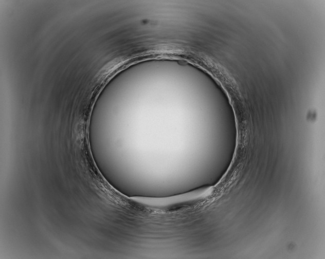 X0000099421169200805301401