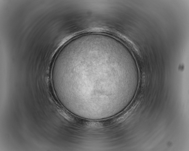 X0000099421170200805301401