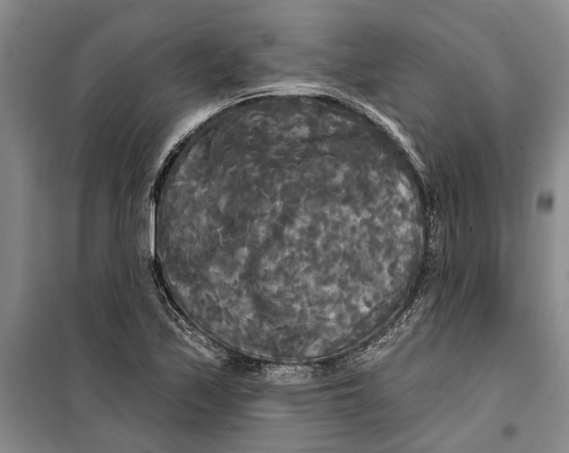 X0000099421171200805301401