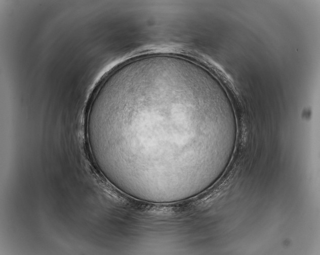 X0000099421174200805301400