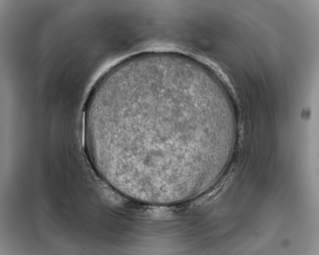 X0000099421175200805301400