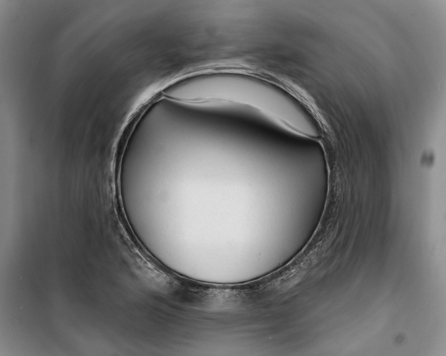 X0000099421176200805301400