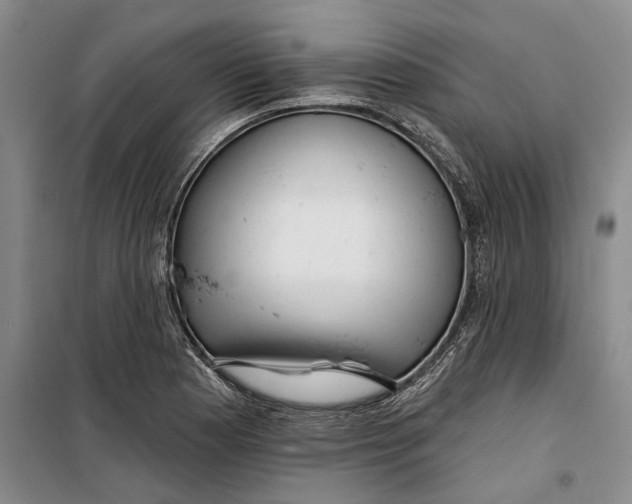 X0000099421177200805301400