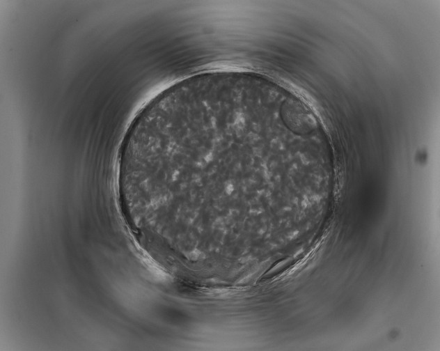 X0000099421179200805301400