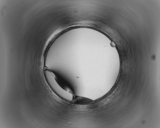 X0000099421180200805301400