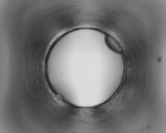 X0000099421181200805301400
