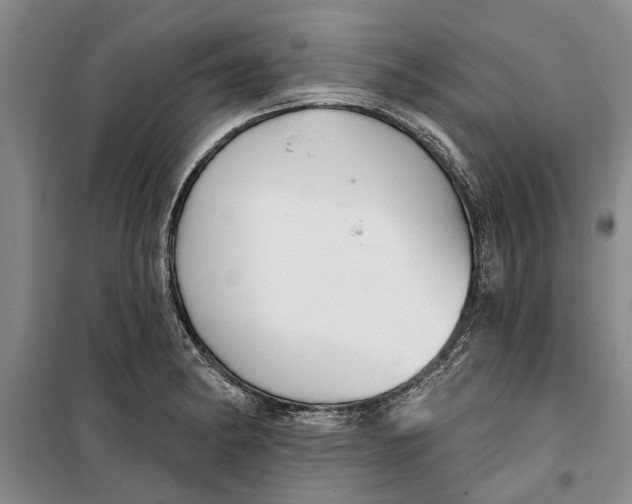X0000099421182200805301400