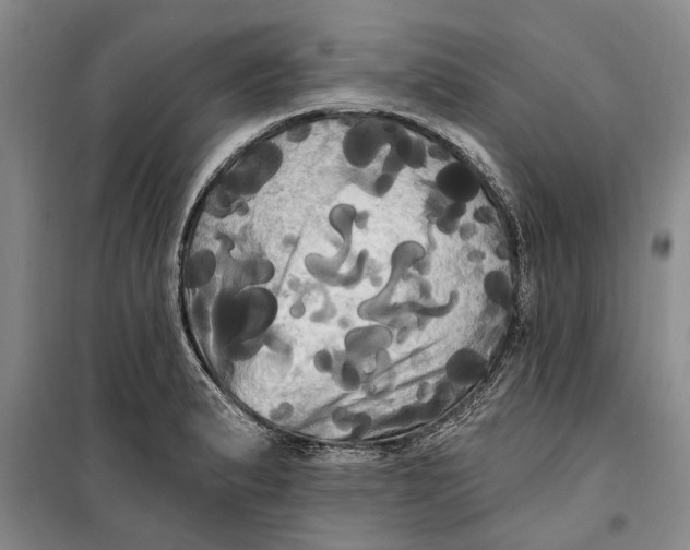 X0000099421183200805301400