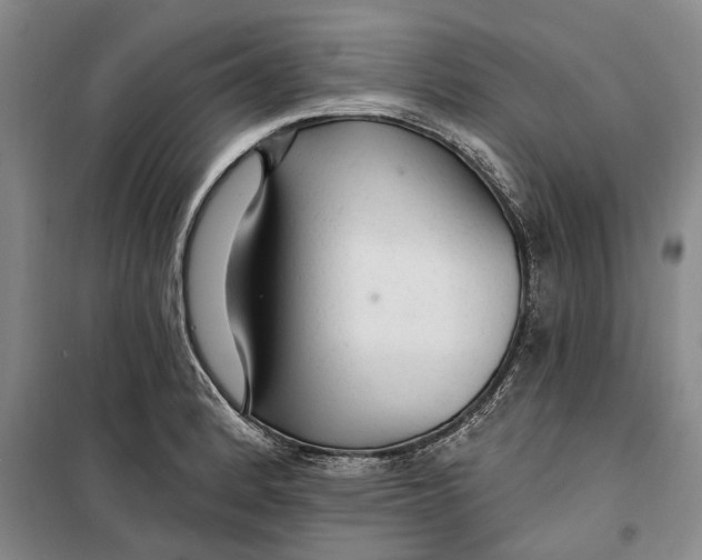 X0000099421184200805301400