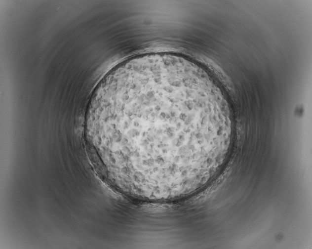 X0000099421185200805301400