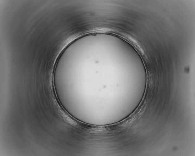 X0000099421186200805301400