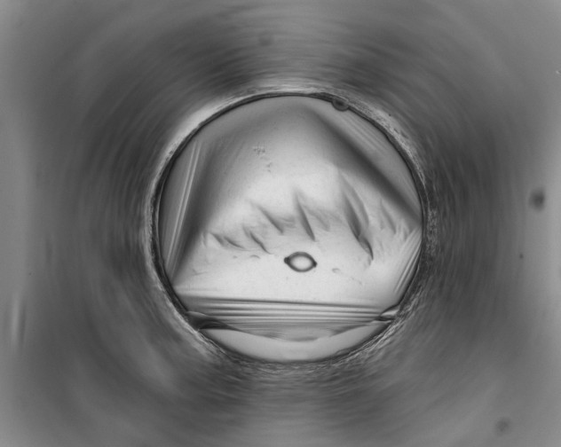 X0000099421187200805301400