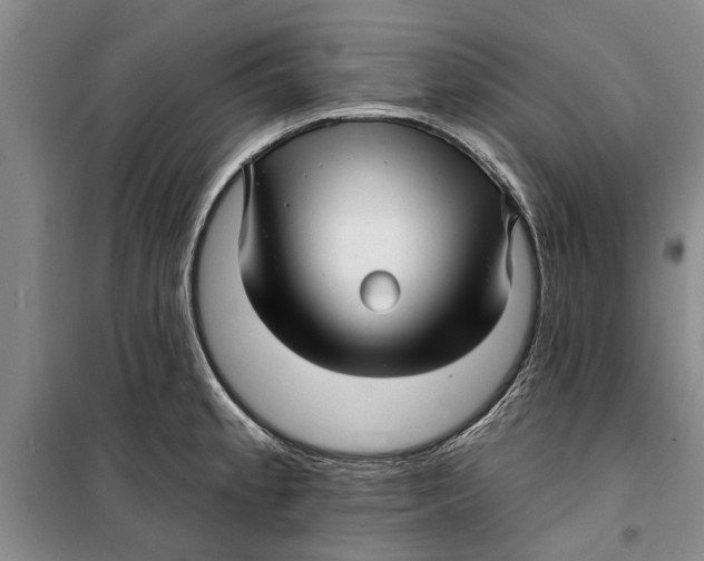 X0000099421189200805301400