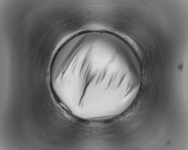 X0000099421191200805301400