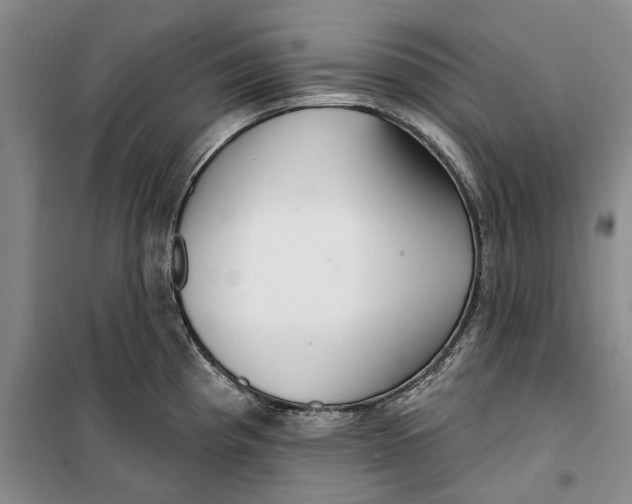X0000099421193200805301400