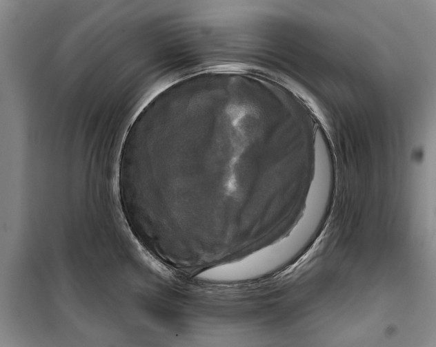 X0000099421194200805301400