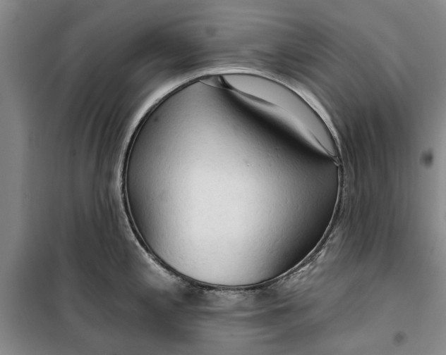 X0000099421197200805301400