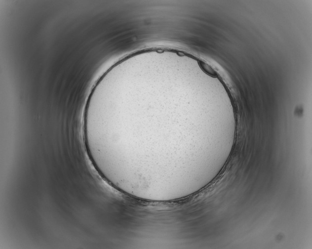 X0000099421199200805301400