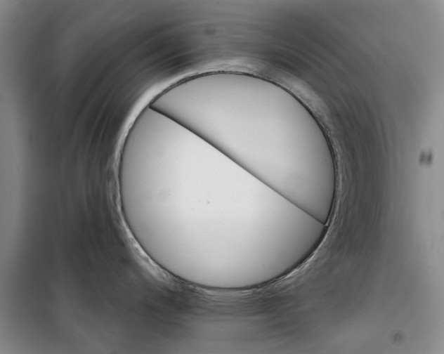 X0000099421200200805301400