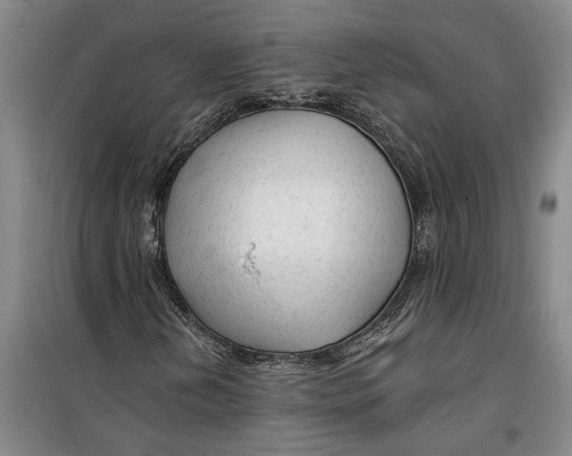 X0000099421202200805301359