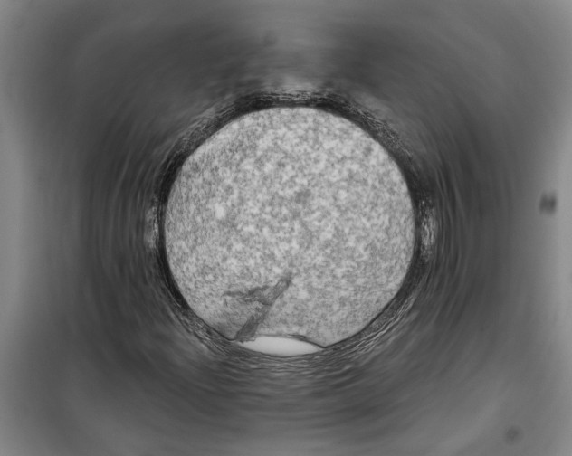 X0000099421204200805301400