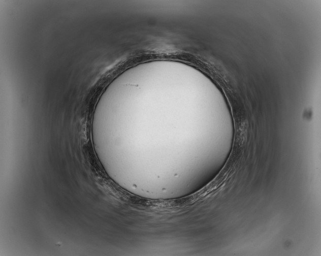 X0000099421205200805301400