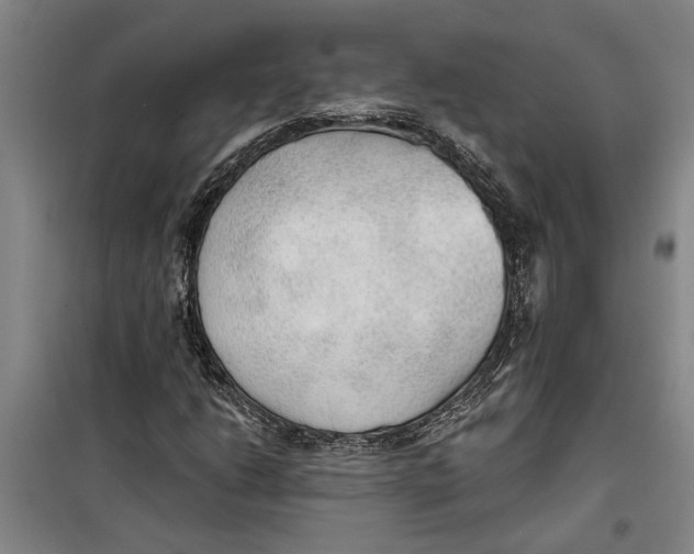 X0000099421206200805301400