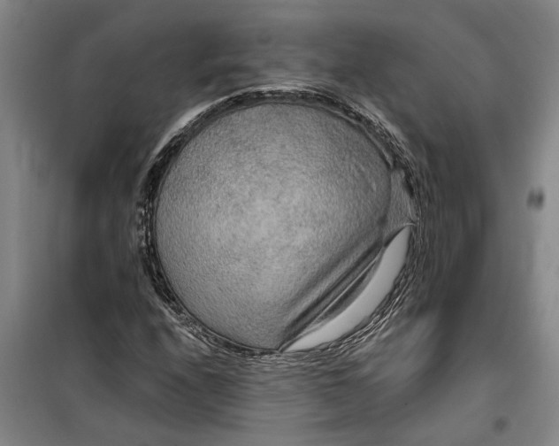 X0000099421208200805301400