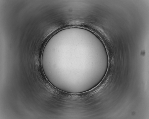 X0000099421209200805301400