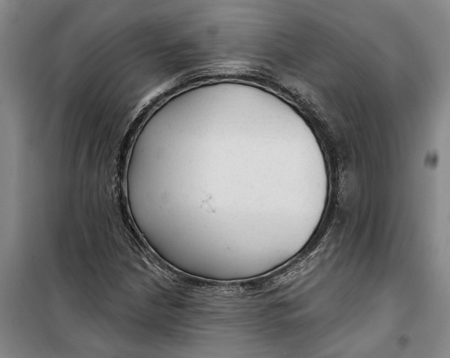 X0000099421210200805301400