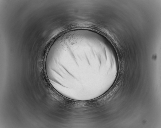 X0000099421211200805301400