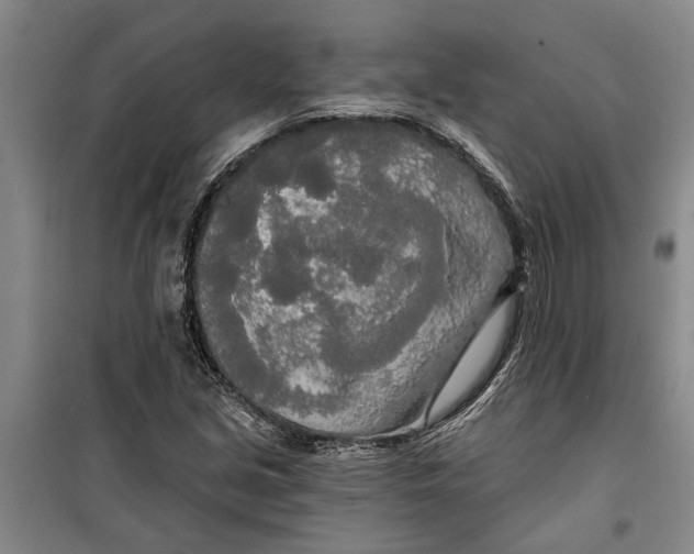 X0000099421213200805301400
