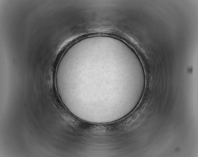 X0000099421214200805301400