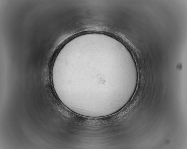 X0000099421215200805301400
